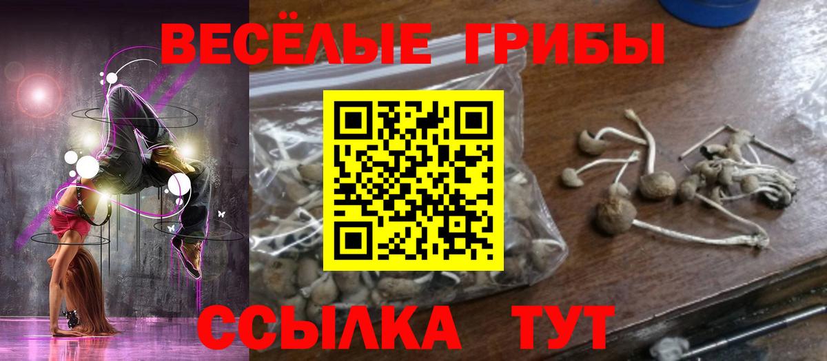 Псилоцибиновые грибы мицелий  Вход с VPN  Псилоцибиновые грибы Magic Shrooms  Вязьма 